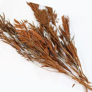 <span class=keywords><strong>ช่อ</strong></span>ดอกไม้อบแห้งแบบใหม่ที่เก็บรักษาไว้สำหรับประดับสวนในงานแต่งงานงานถ่ายภาพ - Product Image 5