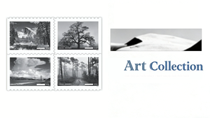 Etiquetas <span class=keywords><strong>Postales</strong></span> Permanentes de Papel con Estampado Personalizado de Ansel Adams 2024, Venta al Por Mayor de <span class=keywords><strong>Sellos</strong></span> <span class=keywords><strong>Postales</strong></span> de EE. UU. - Product Image 6