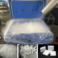 Conteneur isotherme de 480 L pour la livraison de glace carbonique, boîte de transport pour aliments congelés et logistique pharmaceutique