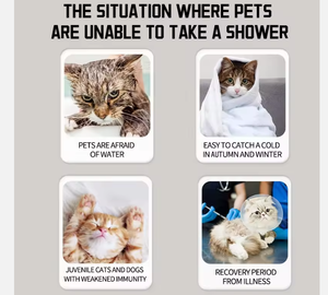 Kostenlose Probe Eigenmarke Umweltfreundliches Trockenshampoo für Haustiere – Wasserlose Sanfte Körperreinigung mit Schaum - Product Image 5