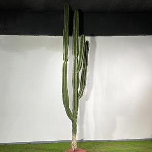 Cactus Artificial de Plástico, Planta Artificial para Decoración de Paredes, Cactus Artificial para Exteriores - Product Image 3