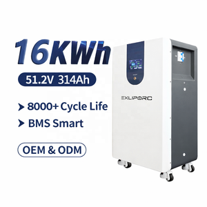 Batería de Almacenamiento de Energía Solar de 16 kWh y 51.2 V, Paquete de Baterías LiFePO4 para Sistema Solar Doméstico |   Alta Capacidad, Bajo Mantenimiento - Product Image 1