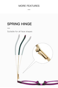 TR90 lunettes oeil de chat lunettes optiques populaire <span class=keywords><strong>bleu</strong></span> lumière bloquant les montures de lunettes femmes ordinateur ressort charnière <span class=keywords><strong>verre</strong></span> - Product Image 4