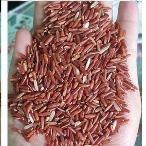 Fideos Secos de Arroz Blanco de Alta Calidad de Vietnam, Bolsa de 250 Gramos, Hechos con Arroz y Patata, Precio Razonable - Product Image 2