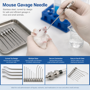 Aiguille de sonde orale Degao en acier inoxydable avec embout sphérique arrondi pour une administration orale sécurisée dans les expériences animales - Product Image 2