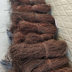 ตู้ปลาเชิงนิเวศ ตู้ปลาระแนง จัดสวนตู้ปลา <span class=keywords><strong>ราก</strong></span>ดราก้อนวิสเกอร์ กิ่งหวาย ต้นไทร หนวด<span class=keywords><strong>ไทร</strong></span> - Product Image 4