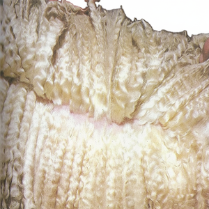 Roving de lana merino Premium para decoración del hogar cubierta de tela tejida suave para sofá directamente de la fábrica del fabricante - Product Image 1