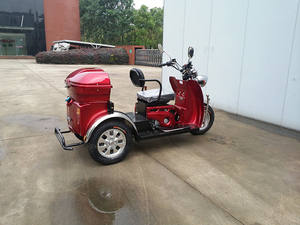 Hot Sale <strong>50cc</strong> Handicapped <strong>Gas</strong> <strong>Tricycle</strong> for the Passenger - Product Image 3