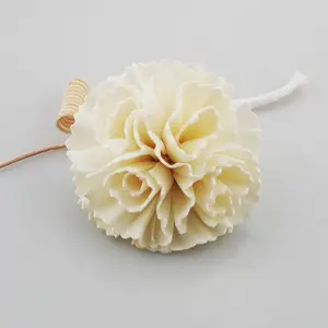 Grosir Penyebar Bunga Buluh Rotan Buatan Tangan Sola Kayu Reed Bunga untuk Diffuser Aroma