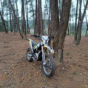 2025 Original <span class=keywords><strong>Storm</strong></span> <span class=keywords><strong>Bee</strong></span> Ultra 104V 55AH 22.5kw moto électrique nouveau véhicule tout-terrain avec des ventes supérieures de haute puissance - Product Image 6