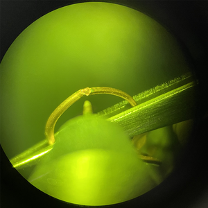 Hot bán Mini Máy hàn điểm công cụ đồ trang sức 150A Argon ARC tại chỗ thợ hàn với 7x-45x kính hiển vi - Product Image 5