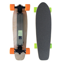 Planche à roulettes longboard électrique, OEM, sans bpa, petits poissons
