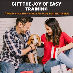 Free sample Portable Waterproof Silicone <b>Dog</b> <b>Treat</b> <b>Pouch</b> Pet <b>Training</b> <b>Pouch</b> With Magnetic Closure and Waist - Product Image 6