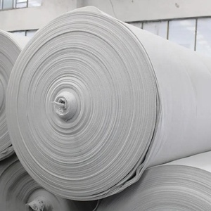 Géotextile non tissé en polypropylène 300 g/m², prix pour l'agriculture - Product Image 3