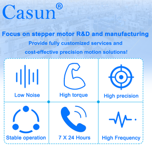Casun NEMA 8 độ chính xác cao thông qua-vít động cơ bước 15MN. M 0.5A động cơ bước với CE ROHS cấp giấy chứng nhận - Product Image 6