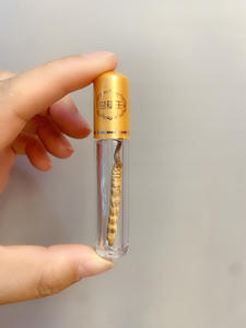 Cultivado <span class=keywords><strong>Cordyceps</strong></span> Militaris Seco Cogumelo Fresco Estilo Processamento Raw para Alimentos Saudáveis e Suplementos - Product Image 4