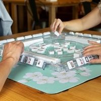 Tapis de Mahjong Vertical du Fabricant – Faible MOQ, Dès 1 Unité – Housse de Table Silencieuse en Caoutchouc Néoprène – 17 Ans d'Expertise – Tapis de Jeu