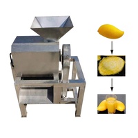 Groentepulp Fruit Klopmachine Tomatensaus Maken Machine Mangosap Machine