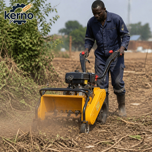 Cultivateur miniature à essence diesel 4 temps avec une largeur de travail de 40 à 80 cm pour utilisation agricole - Product Image 1