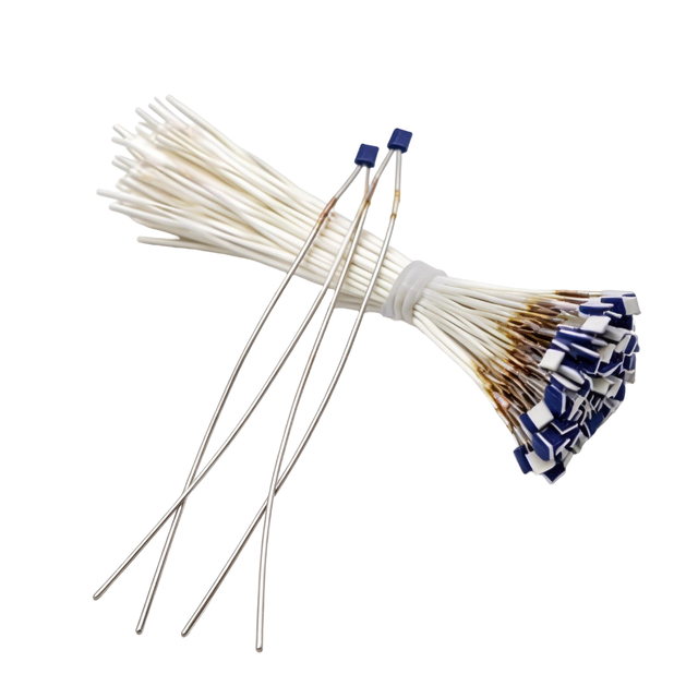 Temperature Sensor Chip Processing Class B Class a PT1000 Platinum Resistance Thermometer Welding Extended Wire PT100 Sensor
