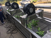 Fruit- en groentewasmachine, kleine roestvrijstalen bubbelwasser voor industrieel gebruik