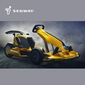  Segway Transformer Electric GoKart Pro Bumblebee Limited  Edition & Segway Ninebot Electric GoKart Pro, Outdoor Race Pedal Go Karting  Car, Black : Toys & Games