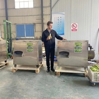 Draagbare Groene Bananenschiller Verse Weegbree Schilmachine Bananenhuid Verwijderen Machine