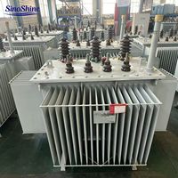 Transformador de Distribución Trifásico Sumergido en Aceite S13 400kVA, Transformador Montado en Poste para Suministro de Energía Rural
