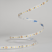 Éclairage de décoration intérieure, bande lumineuse LED DC12V/24V, CCT modulable, 120 LED/m, 8 mm, flexible, à intensité variable