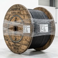 AL/XLPE/PVC Aluminium-Leiterkabel XLPE-Isolierung PVC-Mantel 4x50mm2 0,6 1kV Energieübertragung