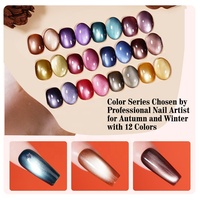 R S Nail 12 couleurs Automne et Hiver 3μm Gel œil de chat semi-permanent sans TPO sans HEMA Gel magnétique pour vernis à ongles