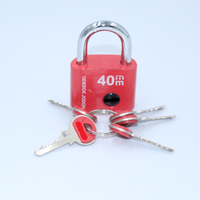 50mm popular heavy duty modern design colorful Plastic spraying special type iron padlock