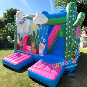 Château Gonflable Commercial Rose avec Toboggan Alpaca pour Fête d'Anniversaire, Qualité Professionnelle, Hpfburg - Product Image 1