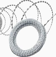 Fil barbelé galvanisé à chaud en bobine, fil de fer rasoir anti-escalade, durable, pour la sécurité des usines, entrepôts, fermes et vergers