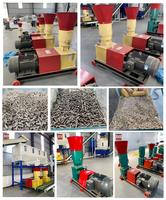 Nouvelle machine à granulés d'aliments pour animaux, vente directe de Chine, capacité 1T/H, en acier, pour usage agricole (poulets, canards, porcs, poissons)