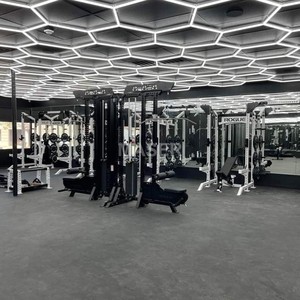 Luces de trabajo de panal LED con atenuación hexagonal comercial, luz de techo para gimnasio, barbería, garaje - Product Image 1