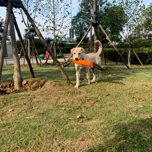 Juguete Mordedor de Cáñamo Resistente para Perros, Juguete Interactivo Resistente a Desgarros para Perros Grandes, <span class=keywords><strong>Pastor</strong></span> Alemán, Cachorros, para Entrenamiento y Dientes - Product Image 4