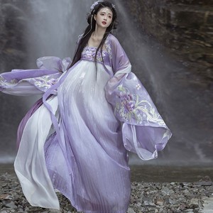 ชุด Hanfu สไตล์จีนยอดนิยมสำหรับนางฟ้าชุดจีนดั้งเดิมสำหรับฤดูร้อนและฤดูใบไม้ร่วง - Product Image 5