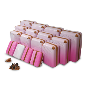 Prix de gros d'usine 16 pièces Ensembles de bagages semi-finis de haute qualité, bagages à main, valises à roulettes en ABS, ensemble de bagages OEM - Product Image 3