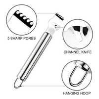 RVS handmatige fruit- en groenteschaaf voor thuiskeuken, metalen gereedschap, aanpasbaar, voor citrusvruchten en uien, alleen handwas, accessoire