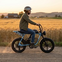 Vélo électrique à pneus larges de style rétro avec freins à disque hydrauliques, vélo électrique à 7 vitesses pour les loisirs urbains