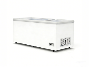 Congélateur coffre commercial à température unique avec couvercle en verre <span class=keywords><strong>et</strong></span> affichage horizontal, à économie d'énergie, pour supermarché <span class=keywords><strong>et</strong></span> aliments surgelés - Product Image 1