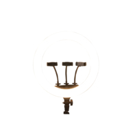 Accuracy Pro Audio BK416 18 ''Pulgadas 65W Lámpara Led Anillo de luz de video con soporte de trípode y soporte para teléfono