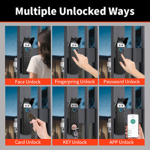 דלת חיצונית דיגיטלית פנימית wifi חיצוני עמיד למים שער מתכת דלת חכמה דלת מרחוק שליטה על מנעול עם פנים - Product Image 6