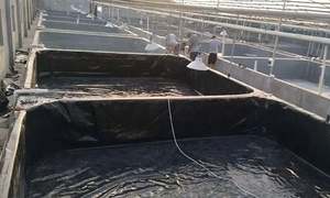 工業デザインスタイル高品質1.2mm 1.5mm厚カラード<span class=keywords><strong>HDPE</strong></span> PVC LDPE LLDPE PEジオメンブレン防水池ライナー（ダム用） - Product Image 5