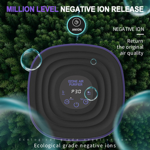 Filtre Hepa de <span class=keywords><strong>purificateur</strong></span> <span class=keywords><strong>d</strong></span>'<span class=keywords><strong>air</strong></span> portable JHQ-10g HHD WONEGG avec <span class=keywords><strong>collier</strong></span> de charbon actif - Product Image 3