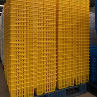 Boîte de transport pour poussins d'un jour en plastique HDPE empilable et emboîtable avec 4 compartiments