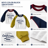 Nouveau Sweat-shirt Garçon Automne 2026 en Mélange de Coton, Manches Raglan, Coupe Ample, Imprimé Lettres, Patchwork, Pull Décontracté pour Enfants, Haut de Sport
