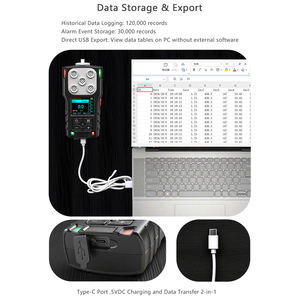 Pompa portabel hisap, detektor kebocoran <span class=keywords><strong>Gas</strong></span> tunggal H2S CH4 NH3 CO2 penganalisis <span class=keywords><strong>Gas</strong></span> Flue Sensor SO2 CO untuk teknik kimia LEL NO - Product Image 4