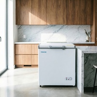 Congélateur coffre haute qualité 100L à température unique 12V DC avec compresseur, contrôle mécanique et refroidissement rapide